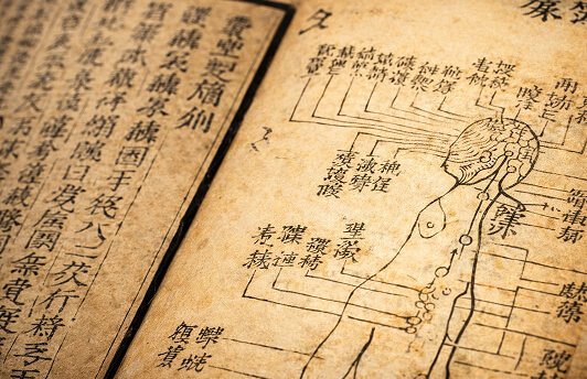 Explosives Wing Chun Die traditionelle Chinesische Medizin