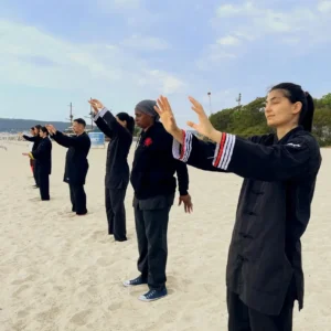 Explosives Wing Chun Gesundheitslehre Lehre