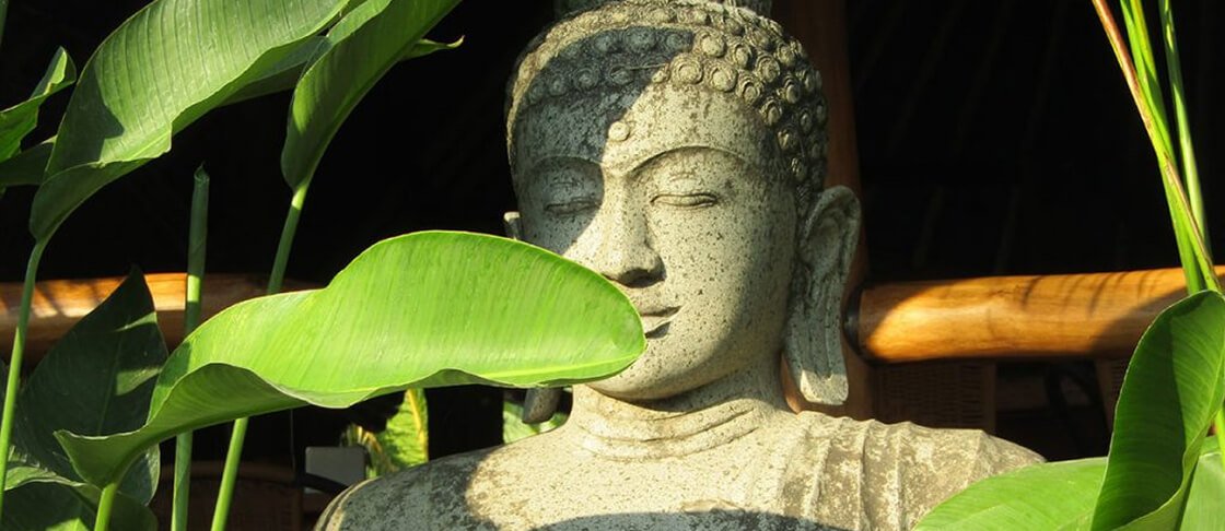 Explosives Wing Chun Tai Chi Chuan der inneren Energie